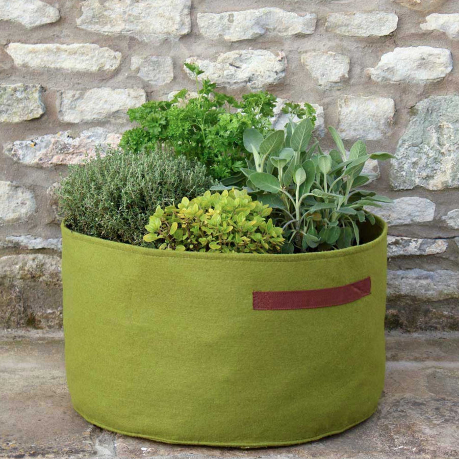 Herb Planter  1