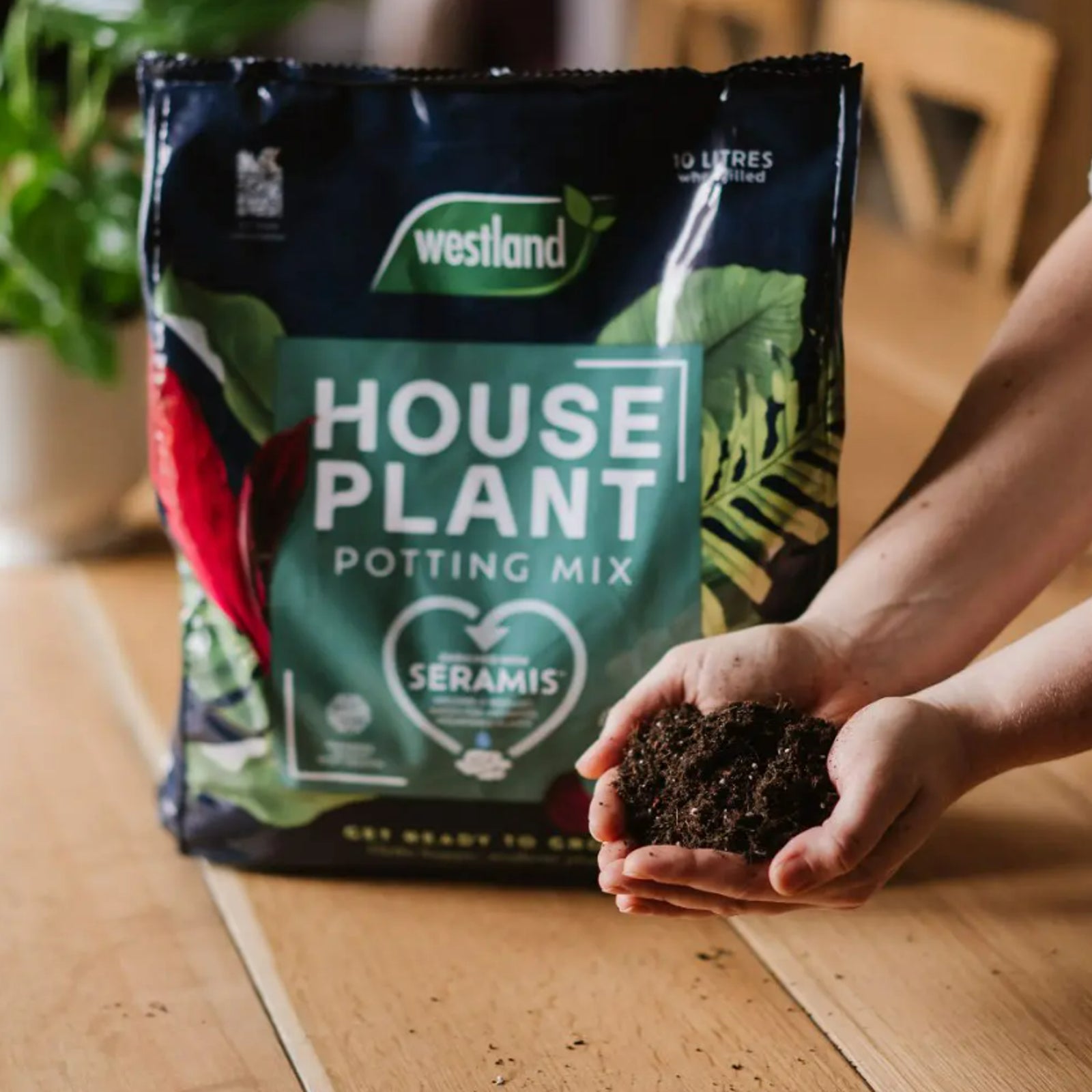 Westland House Plant Potting Compost