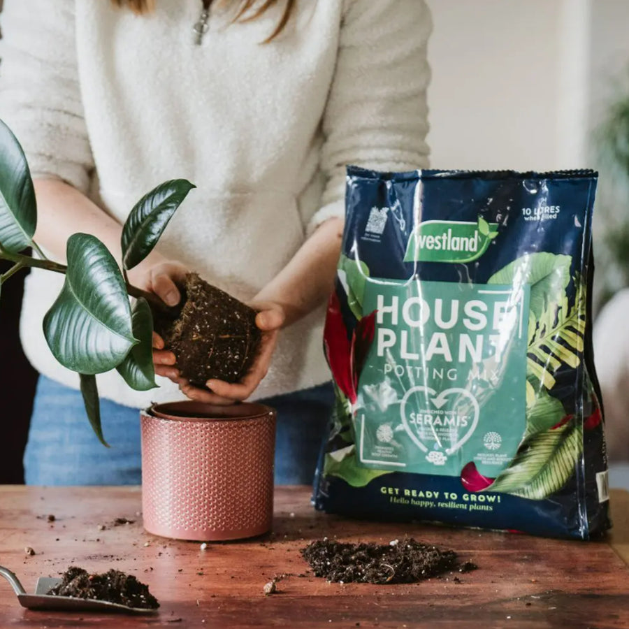Westland - House Plant Potting Compost - 2 x 10L Bags Westland - House Plant Potting Compost - 2 x 10 Litre Bags image3 3