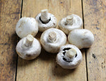 Carbeth Plants Mushroom Growing Kit  2
