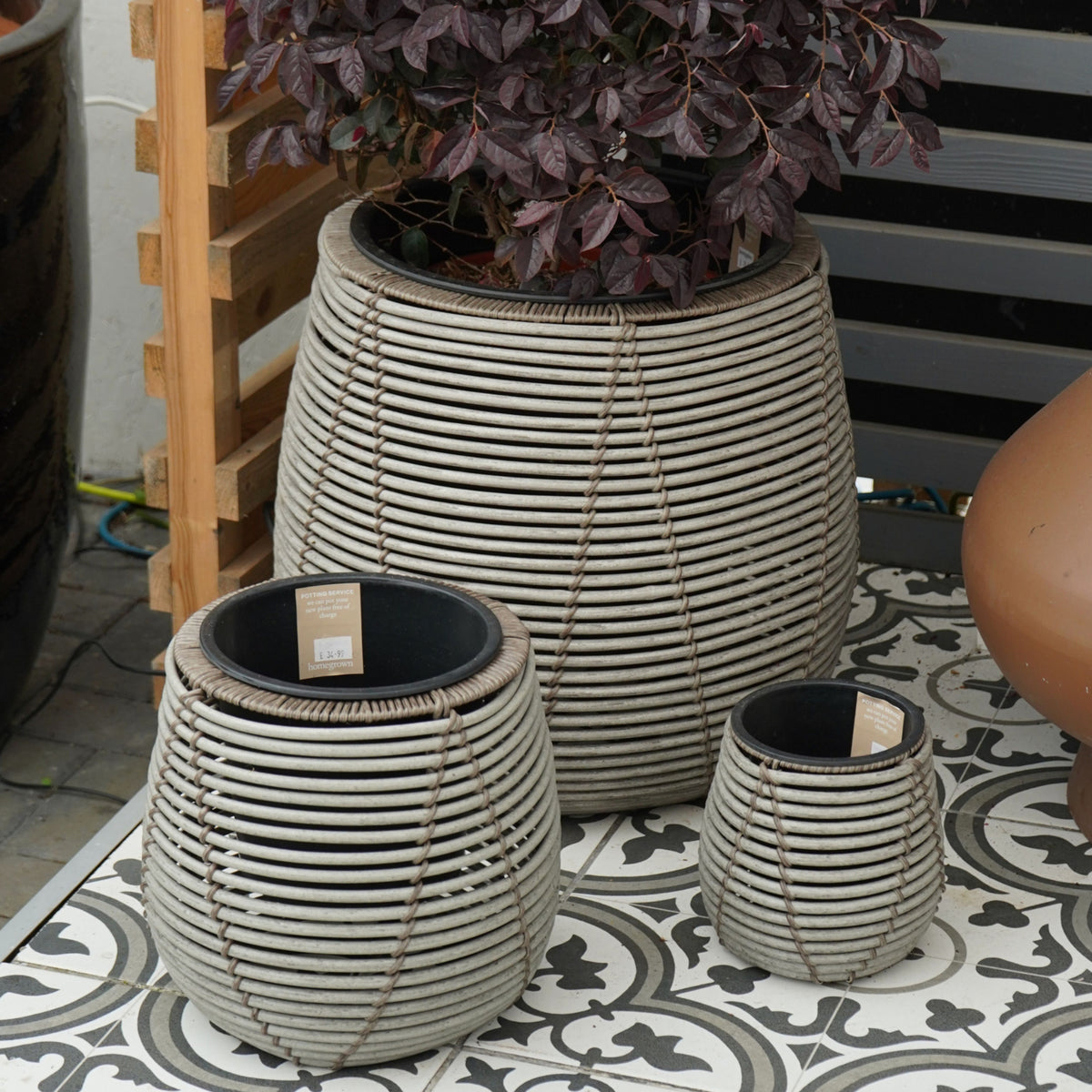 Mica Plant Pots - White Cane Set of three white rattan-effect plant pots in small, medium and large sizes, shown on patterned tiles with one containing a leafy ornamental plant. 1