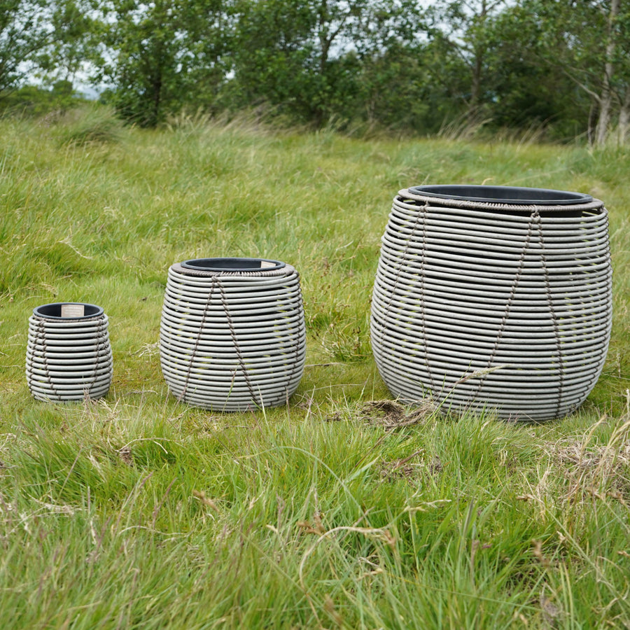 Mica Plant Pots - White Cane Set of three white rattan-style plant pots in small, medium and large sizes, displayed outdoors on grass. 3