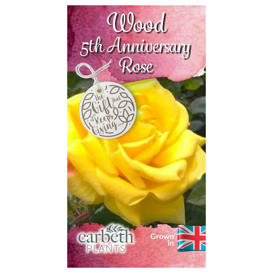 Wood 5th Wedding Anniversary Rose Bush Gift Wrapped  4